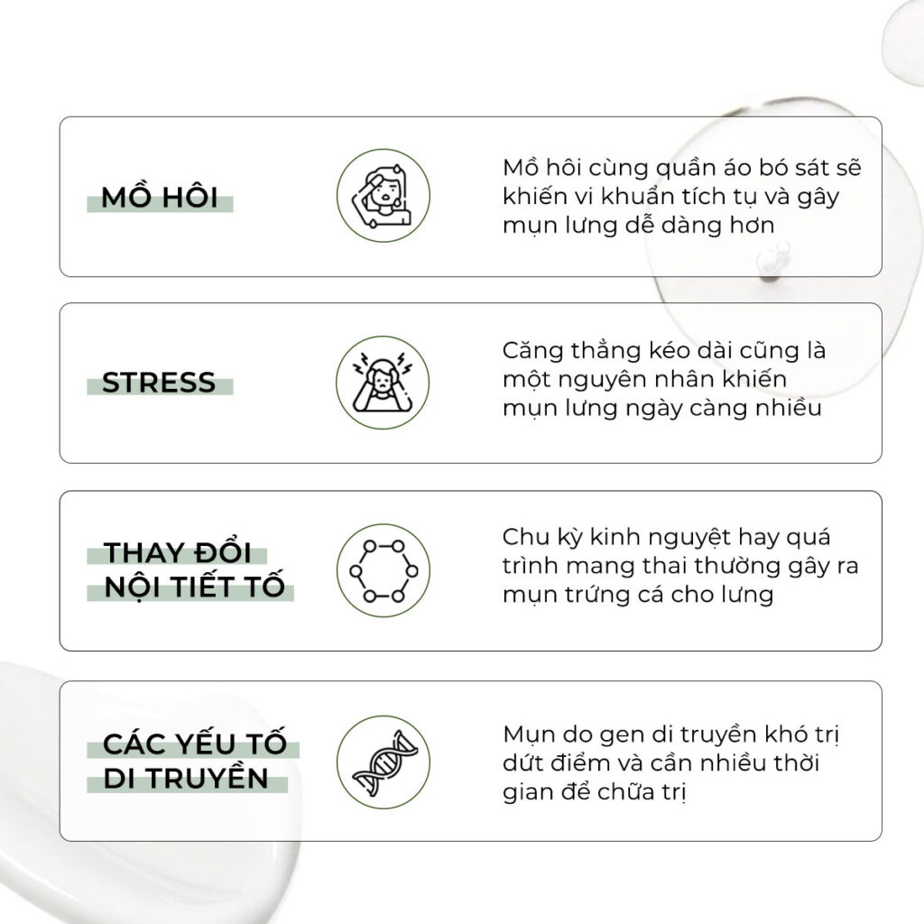 nguyên nhân gây mụn lưng